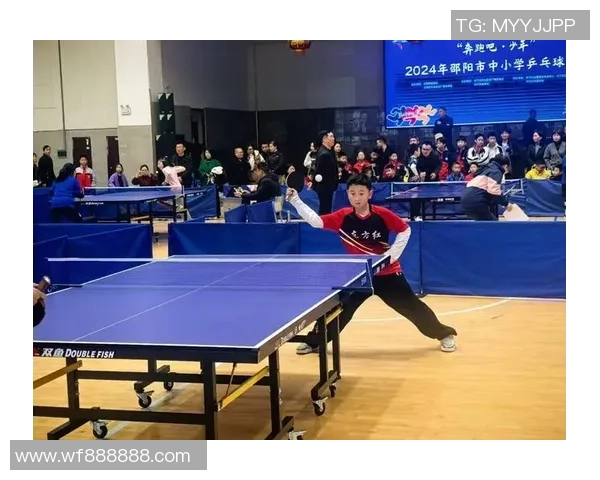 乒乓球盛宴：深入武汉乒乓球队的团队合作与精神探索