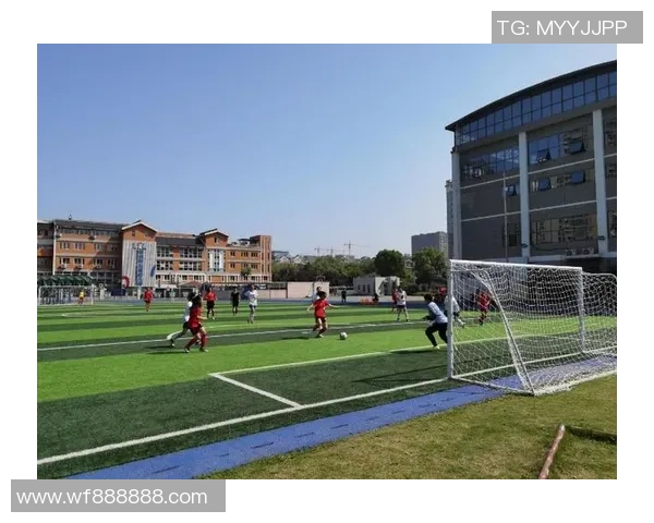 杭州排球队的速度分析与战术探讨如何提升比赛表现与团队协作