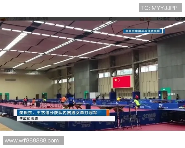 成都乒乓球队与南京乒乓球队技术对抗赛后分析与总结